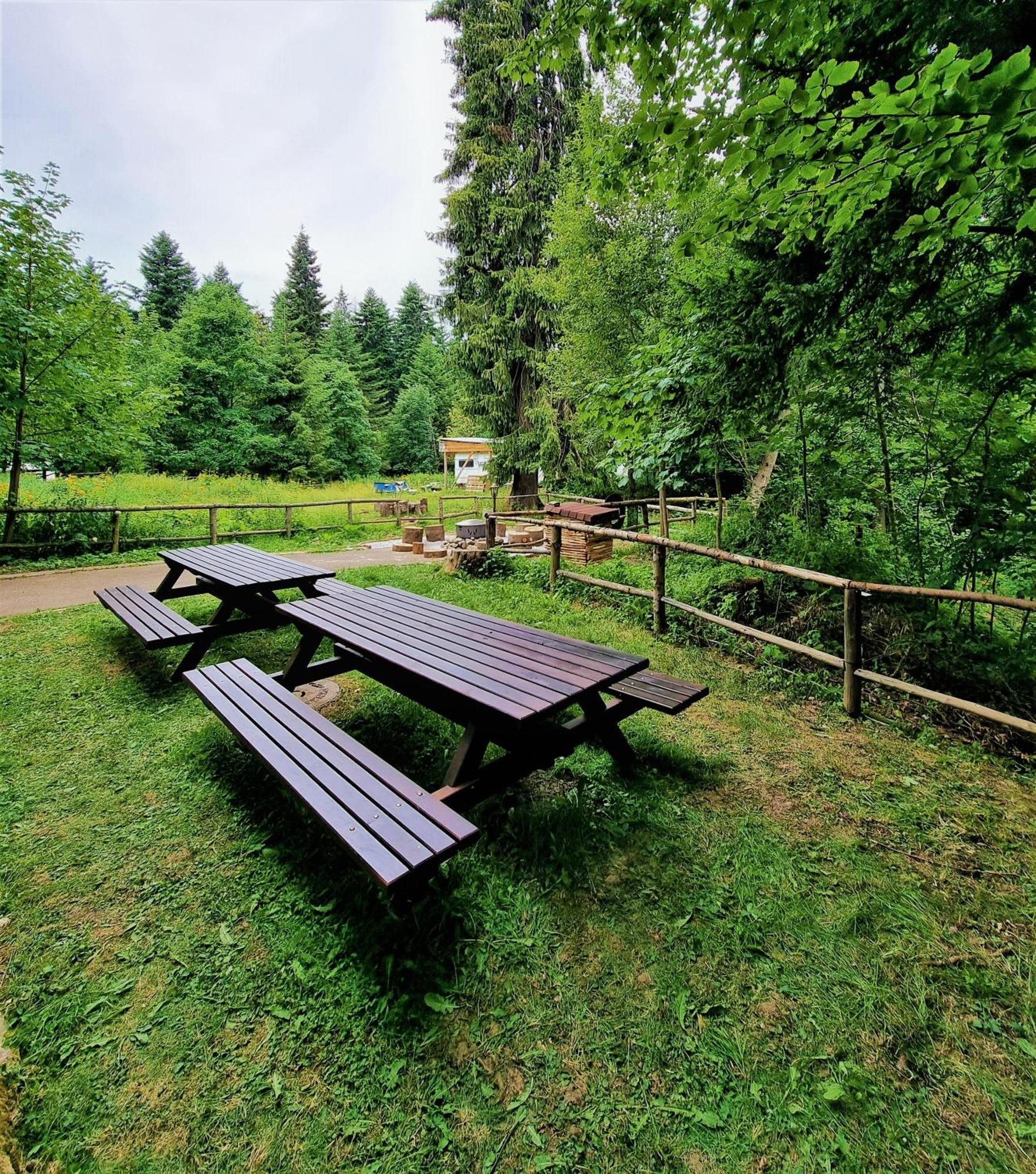 Kokiche 4 Friends, Borovets Apartment Ngoại thất bức ảnh